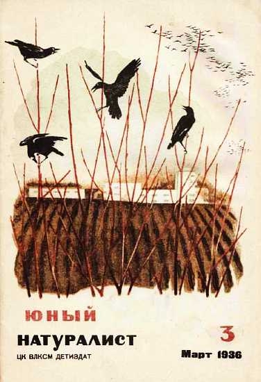 Журнал &quot;Юный натуралист&quot; №3, 1936