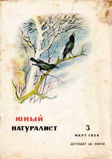 Журнал &quot;Юный натуралист&quot; №3, 1938