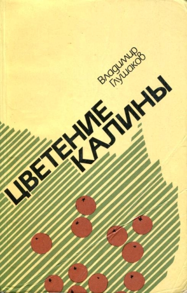 Цветение калины