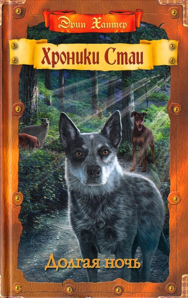 Долгая ночь