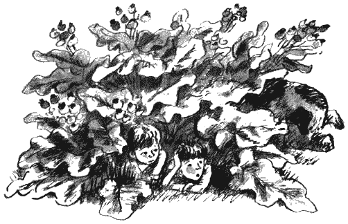 Необычайные приключения Робинзона Кукурузо