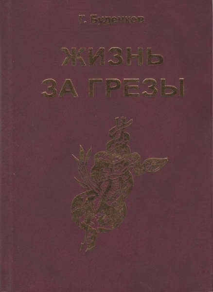 Жизнь за грезы, или Околдованная женщина