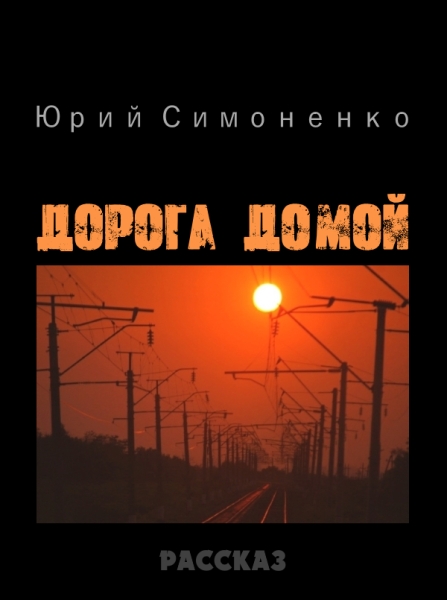 Дорога домой