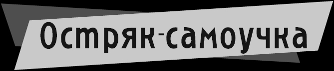Остряк-самоучка