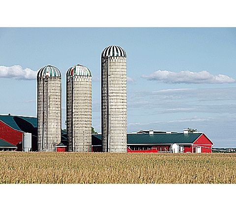 О силосовании