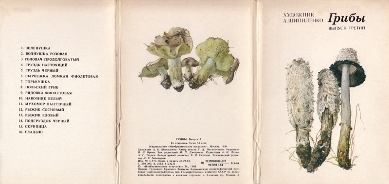 Грибы. Выпуск 3