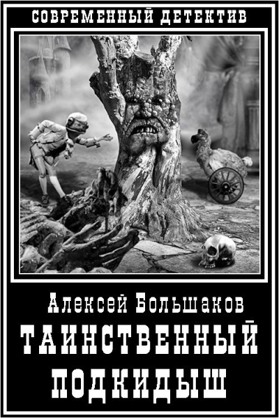Таинственный подкидыш