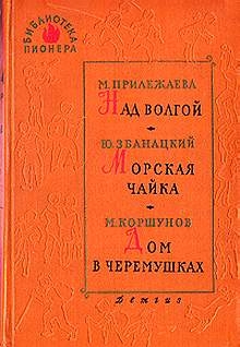Двое в дороге
