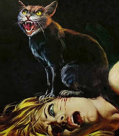 Чёрный кот