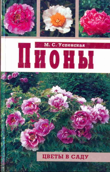 Пионы