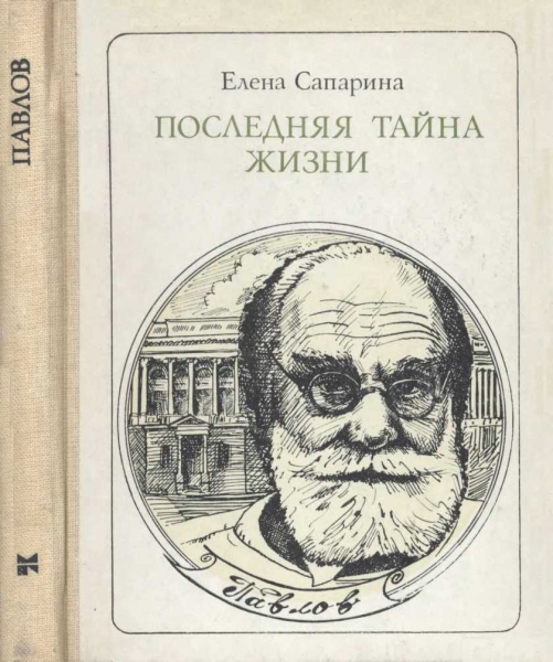Последняя тайна жизни (Этюды о творчестве)