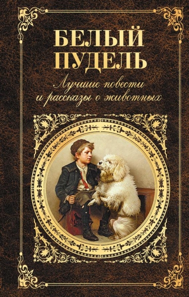 Белый пудель