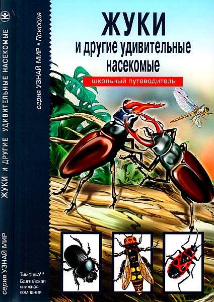 Жуки и другие удивительные насекомые