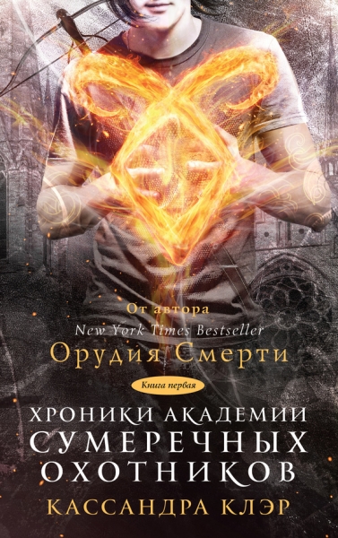 Хроники Академии Сумеречных охотников. Книга 1
