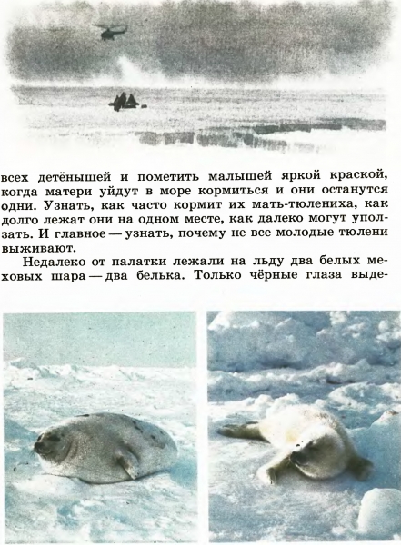 В океане