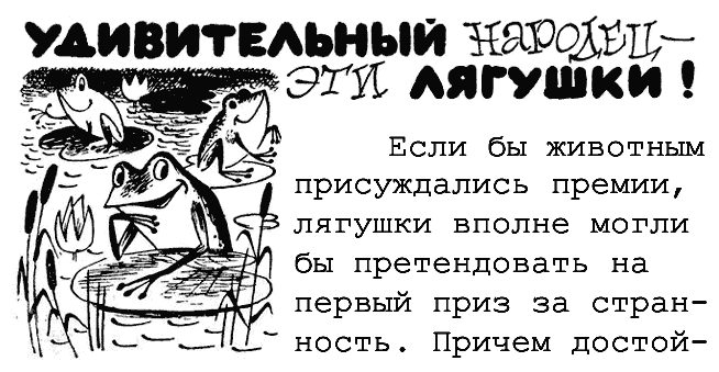 Удивительный народец — эти лягушки!