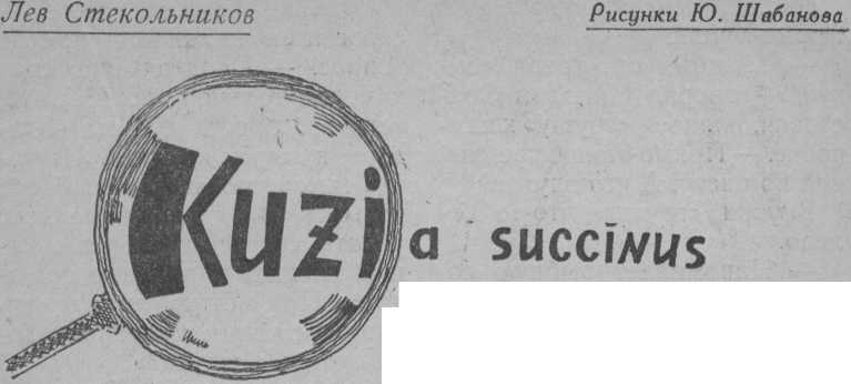 Kuzia succinus