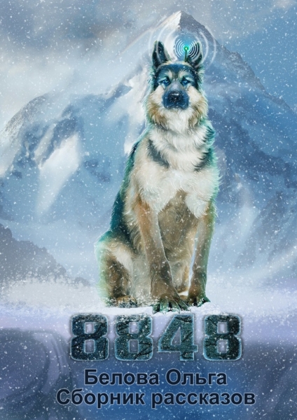 8848