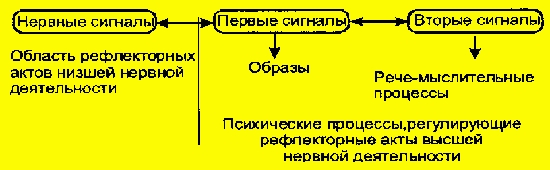 Психика и реальность