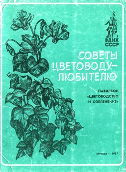 Советы цветоводу-любителю